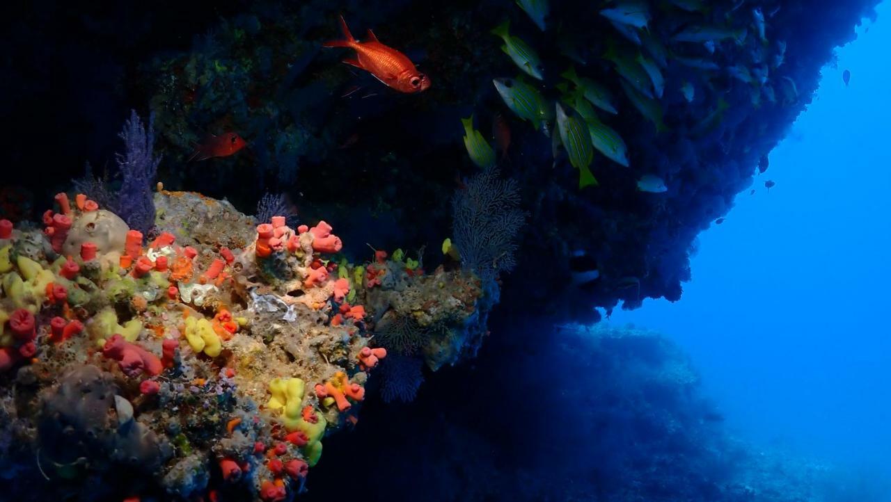 Boutique Beach All Inclusive Diving Hotel Dhigurah  Εξωτερικό φωτογραφία